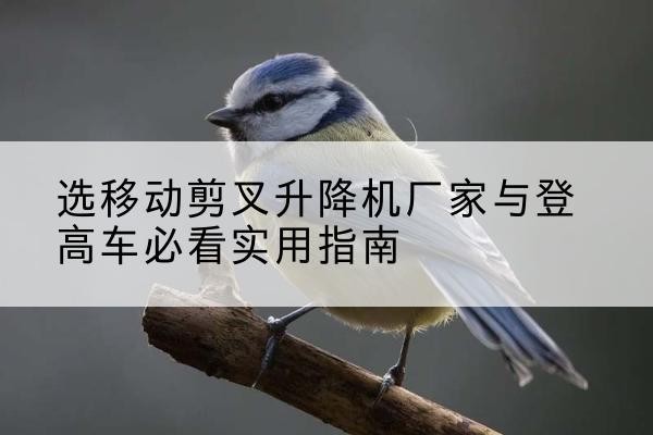 六盘水电动升降机厂家-选移动剪叉升降机厂家与登高车必看实用指南