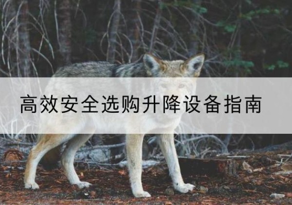六盘水升降货梯厂家推荐-*安全选购升降设备指南